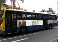Bus