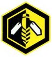 Hornets new logo