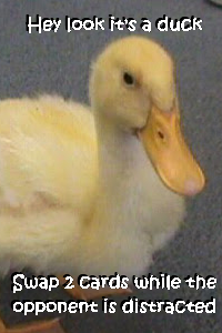 Hey Look It's A Duck