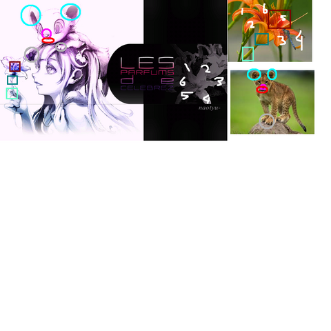 File:Les Parfums de Celebrez Juxtaposition.png