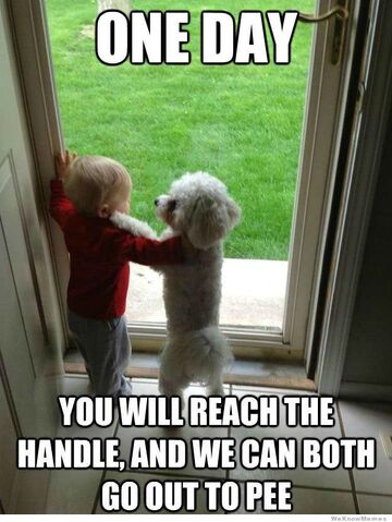 File:One-day-you-will-reach-the-handle.jpg