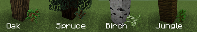 File:Saplings With Names.png
