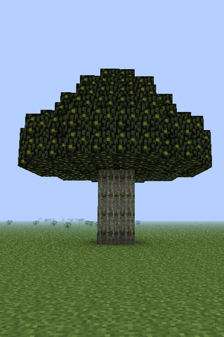 File:Walnut Tree.png