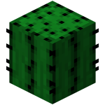 File:Cactus.png