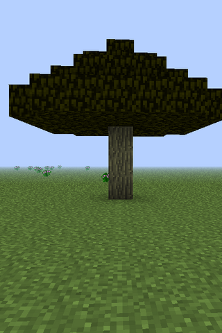 File:Acacia.png
