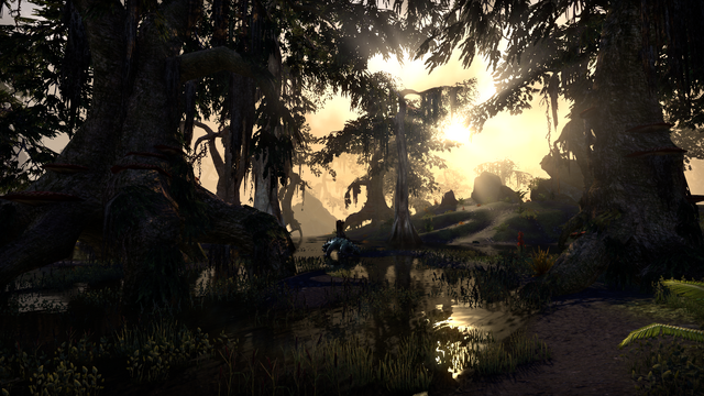 File:Shadowfenwilderness.png