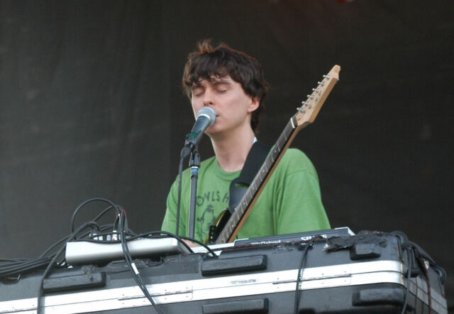 Archivo:Panda Bear.jpg