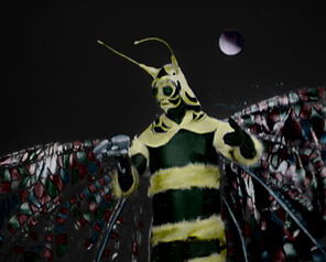 Menoptera1
