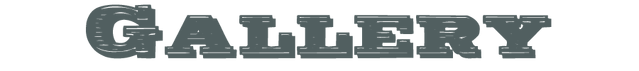 File:Dallasgallery.png