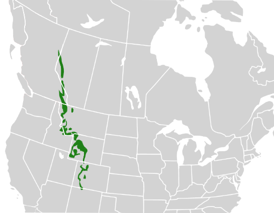 File:Regionmap.png