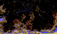 Forest Fire