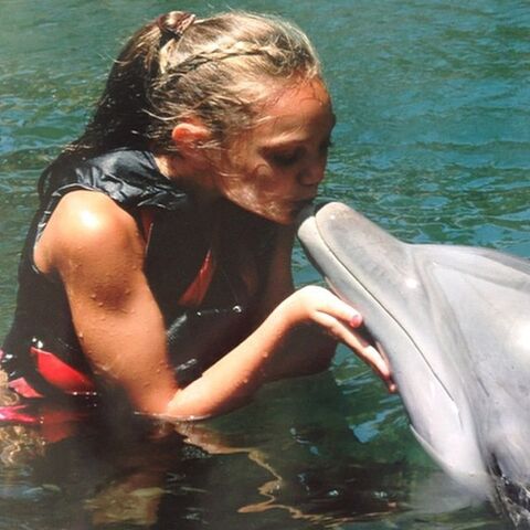 File:Maddie dolphin.jpg