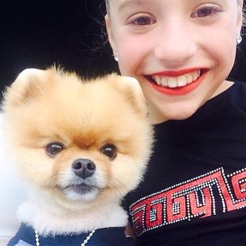 File:Mackenzie and Jiffpom 30May2015.jpg