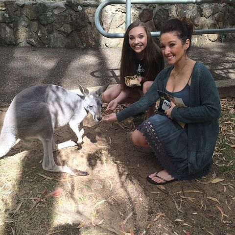 File:Maddie Gianna kangaroo 2015-03-17.jpg