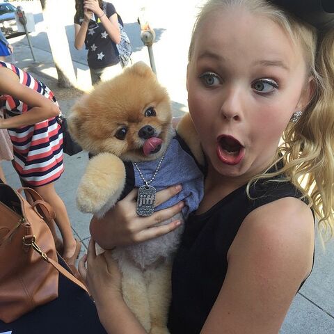 File:JoJo and Jiffpom 2015-05-30.jpg