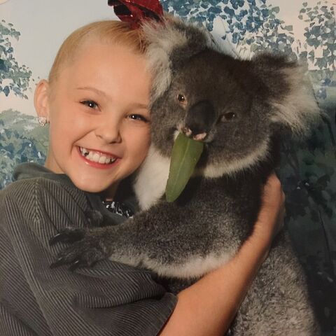 File:JoJo koala 2015-03-17.jpg