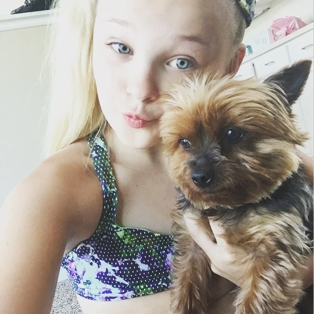 Image JoJo and Yorkie 20150608.jpg Dance Moms Wiki FANDOM