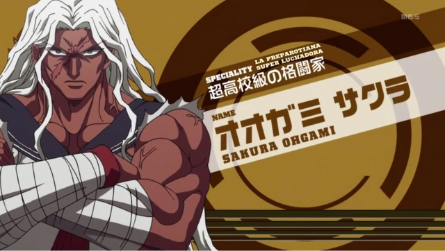 Archivo:Sakura Ohgami.png