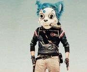 Mousekat