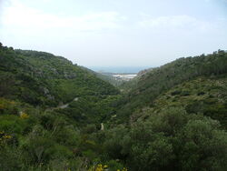 Carmel-28