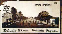 Ekron22.jpg