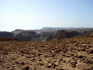 Desertplateau1.jpg