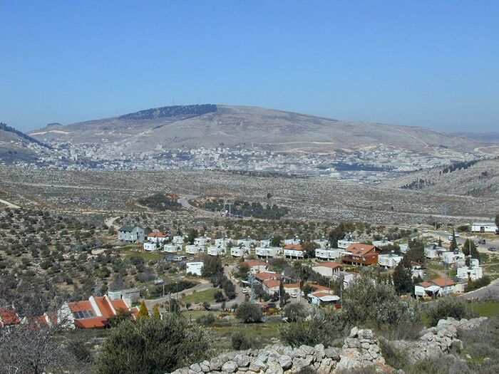 Itamar 1.jpg