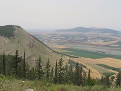 Gilboa a.jpg