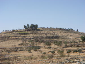 Tel zif.jpg