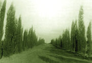 Kfar hadar.jpg