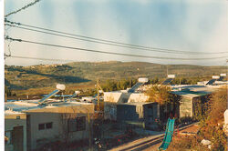Ashkubit Kedumim.jpg