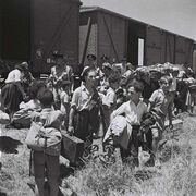 Atlit camp 1945.jpg