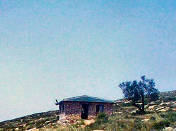 Scali synagoque.jpg