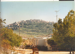 Kfar kipa.jpg