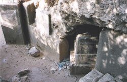Scovadya-mibartenura003.jpg