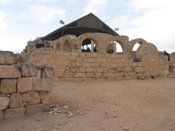 Susia synagoque.jpg