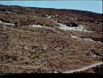 Near izhar.jpg