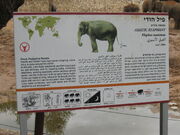 IMG 2665.jpg