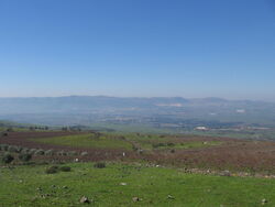 IMG 0819.jpg