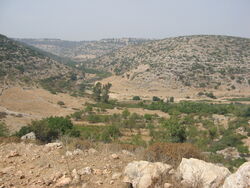 Nahal kana israel.jpg