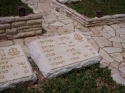 Mizrachi 1.jpg