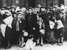 Bundesarchiv Bild 183-N0827-318, KZ Auschwitz, Ankunft ungarischer Juden