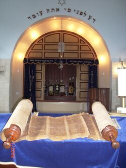 CIMG8070.jpg