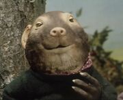 Ratty