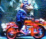 File:WITW Toad's Motorcycle.jpg