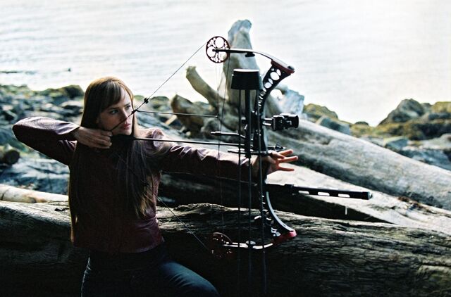 File:Bow and Arrow.jpg