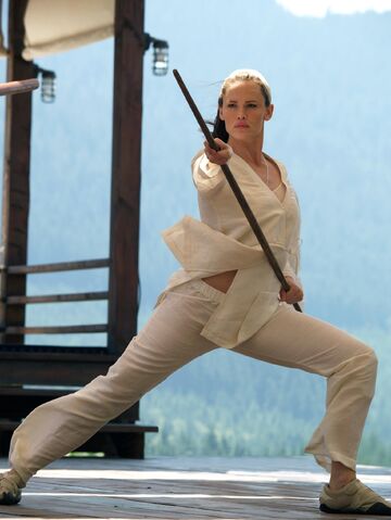 File:Elektra movie 2005 still.jpg
