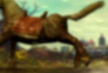 Horsebutt5