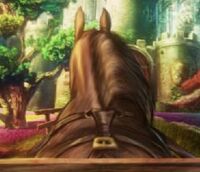Horsebutt6