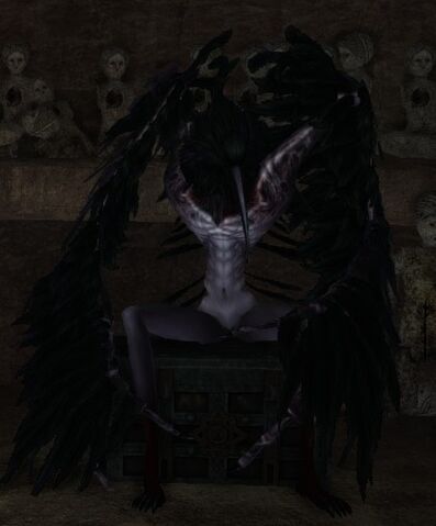 Archivo:Ornifex 02.jpg